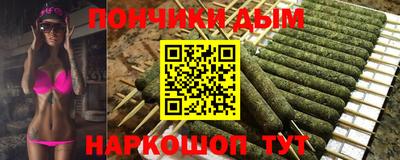 стафф Шелехов