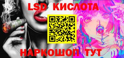 стафф Шелехов
