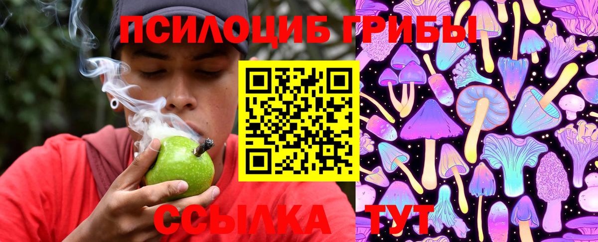 Галлюциногенные грибы Magic Shrooms  Псилоцибиновые грибы Psilocybe  купить наркотики сайты  Вход с VPN  Губаха 