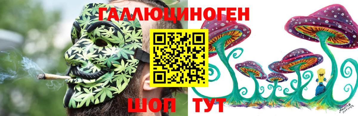 Галлюциногенные грибы Psilocybine cubensis Губаха